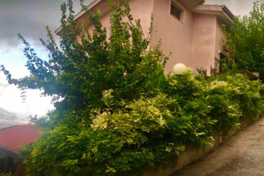 Il Panorama Διαμέρισμα Altofonte Εξωτερικό φωτογραφία